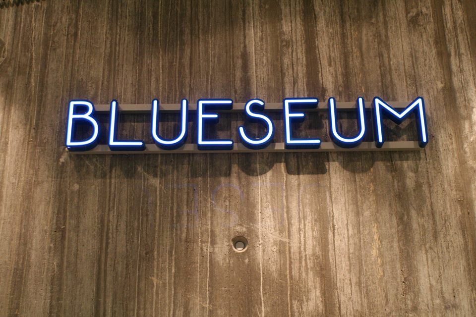 BOK OG BLUESHUSET 13